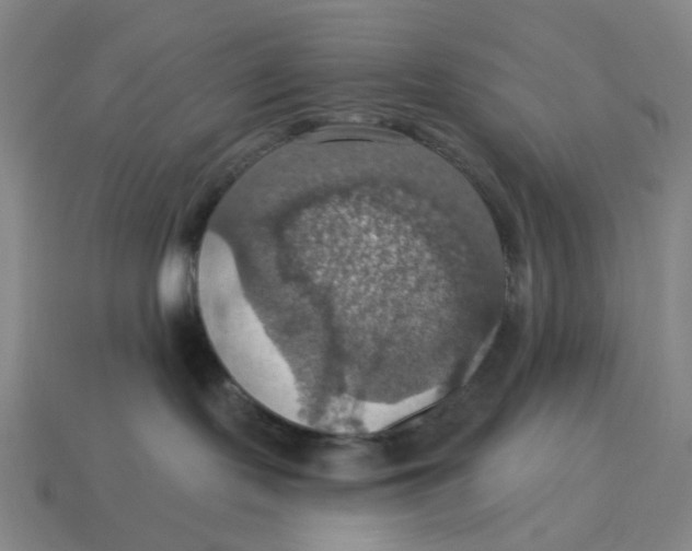 X0000114420095200911061631