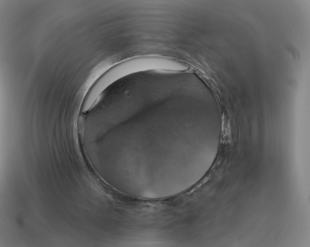 X0000114420099200911061630