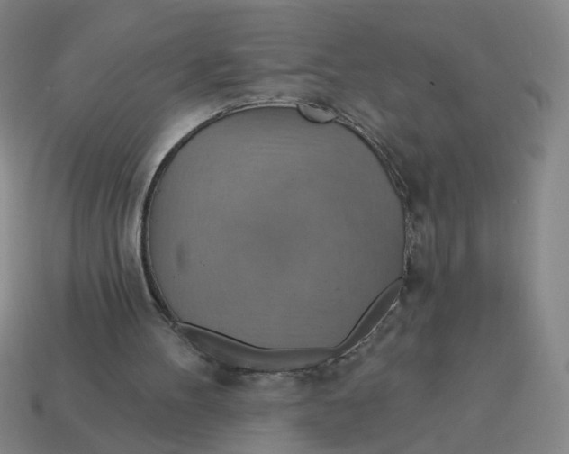 X0000114420100200911061630
