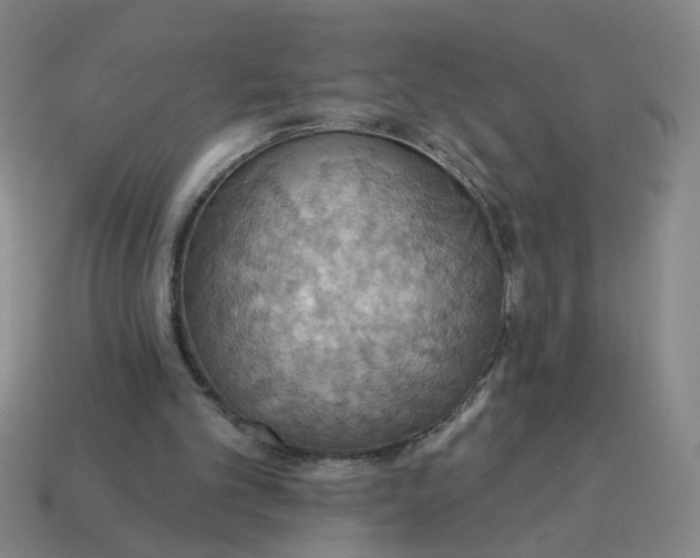 X0000114420101200911061630