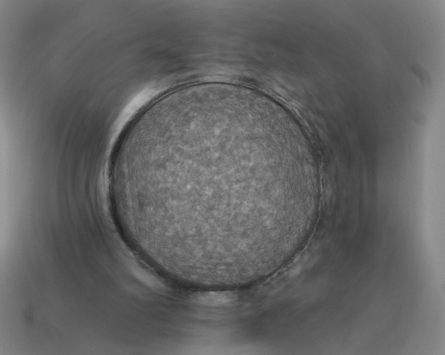 X0000114420102200911061630