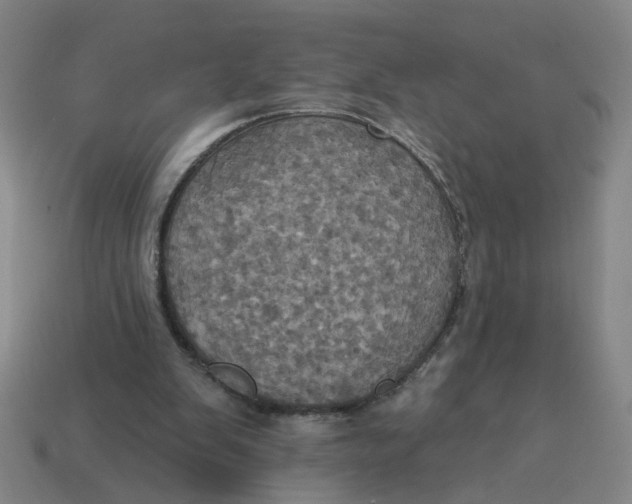 X0000114420103200911061630