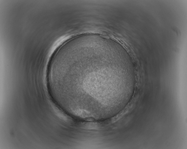 X0000114420104200911061630