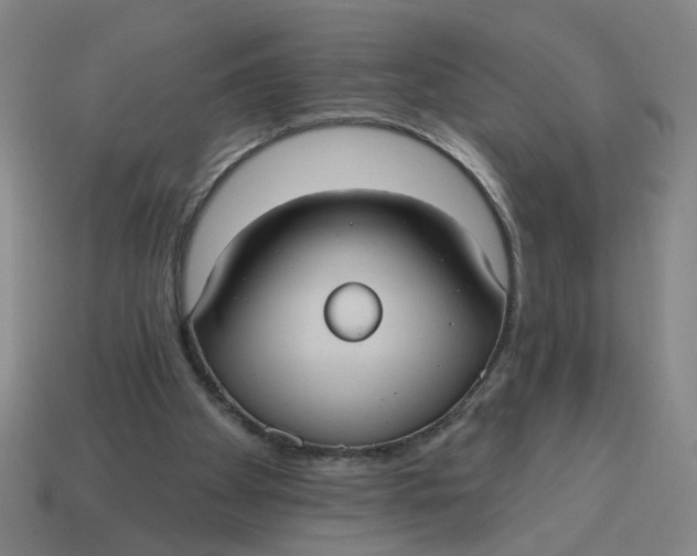 X0000114420105200911061630