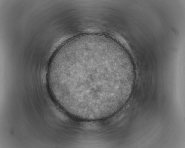 X0000114420106200911061630