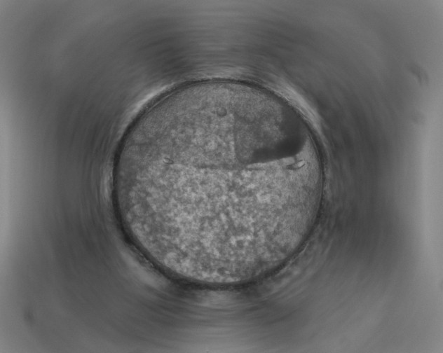 X0000114420107200911061630