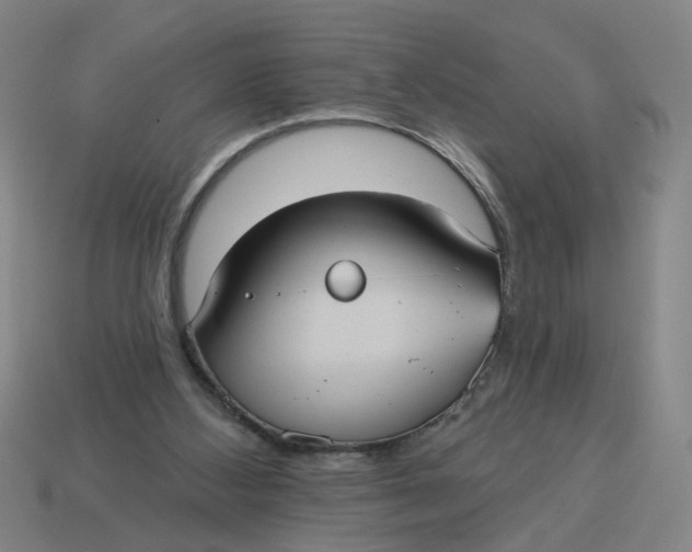 X0000114420108200911061630
