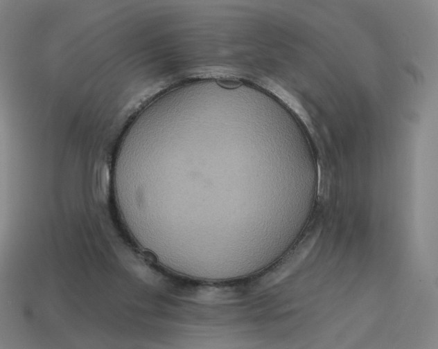 X0000114420109200911061630