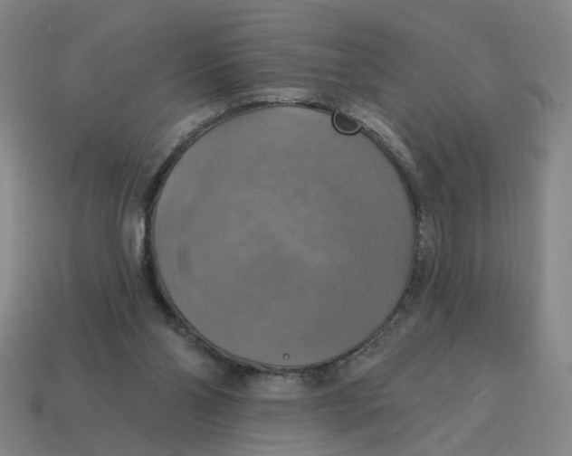 X0000114420110200911061630