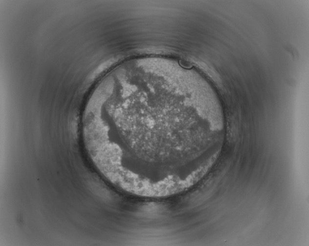 X0000114420111200911061630