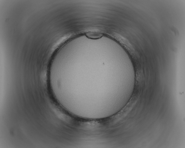 X0000114420112200911061630