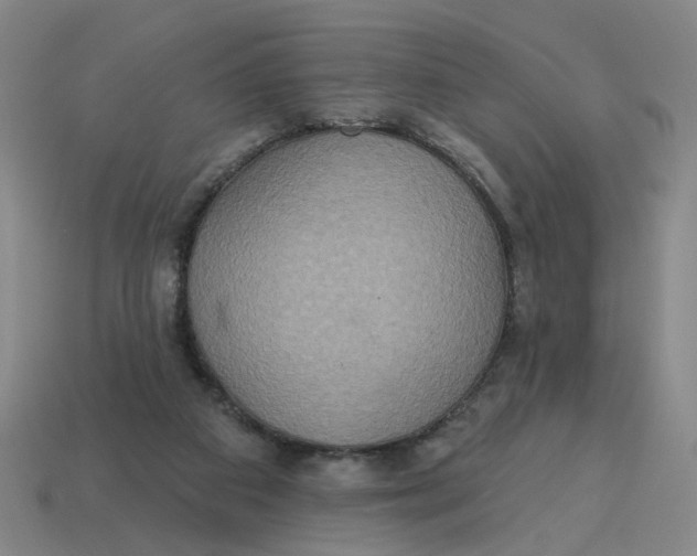 X0000114420113200911061630