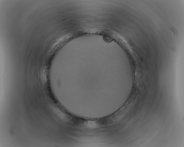 X0000114420114200911061630