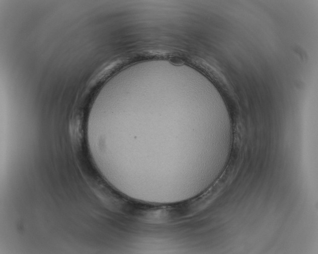 X0000114420116200911061630