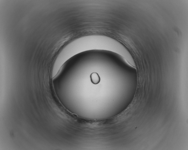 X0000114420120200911061630