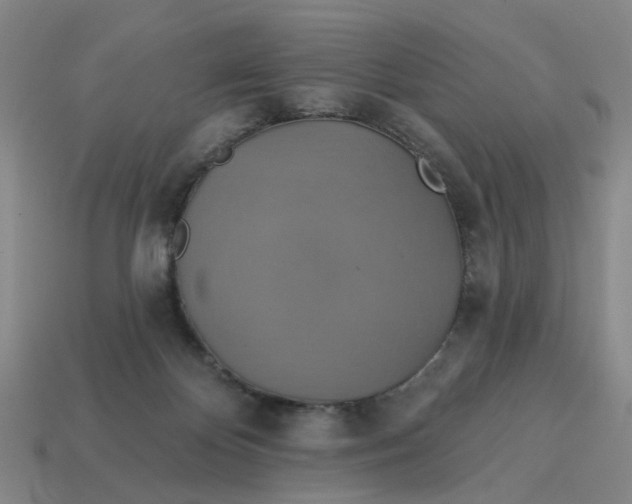 X0000114420124200911061630