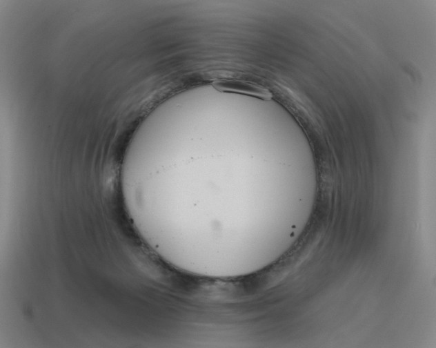 X0000114420125200911061630