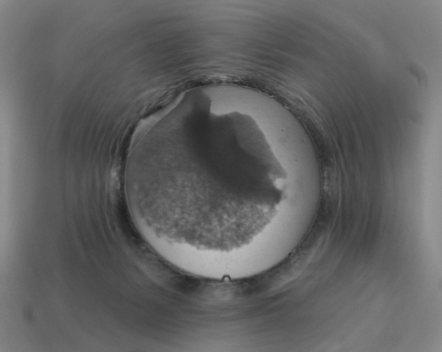X0000114420127200911061630