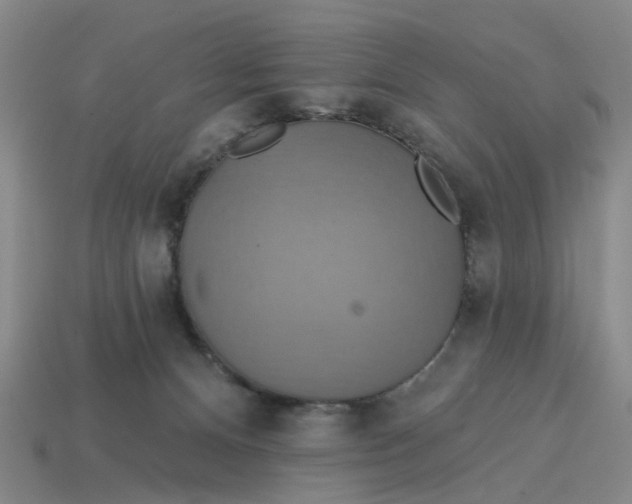 X0000114420128200911061630