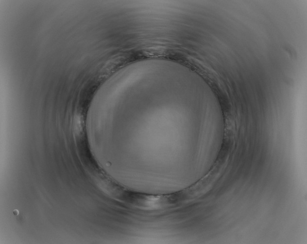 X0000114420130200911061630