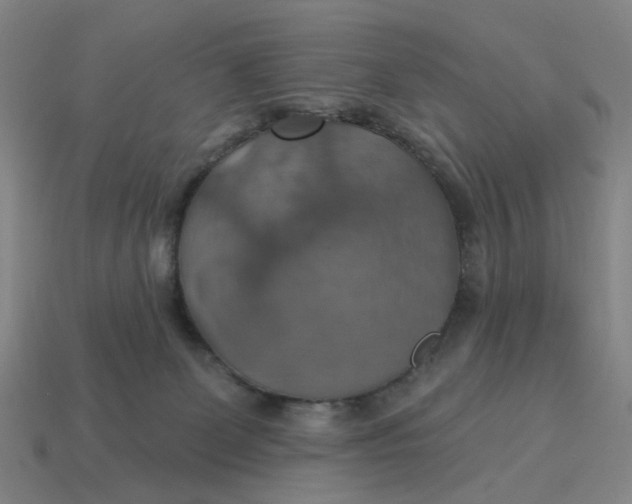 X0000114420131200911061630