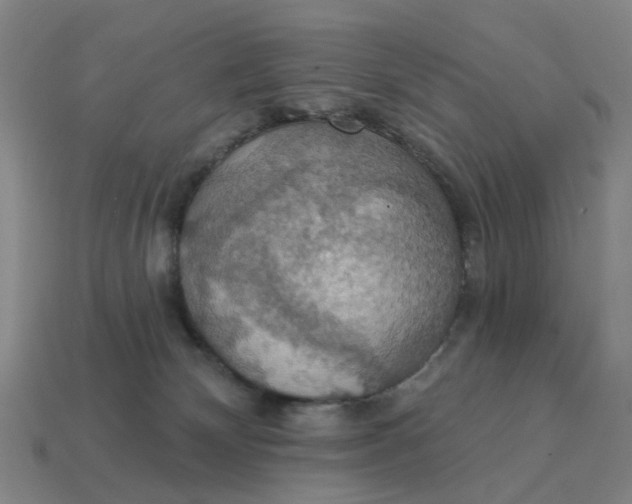 X0000114420132200911061630