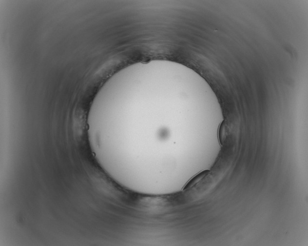 X0000114420133200911061630