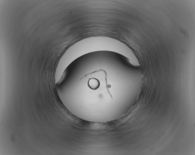 X0000114420141200911061630