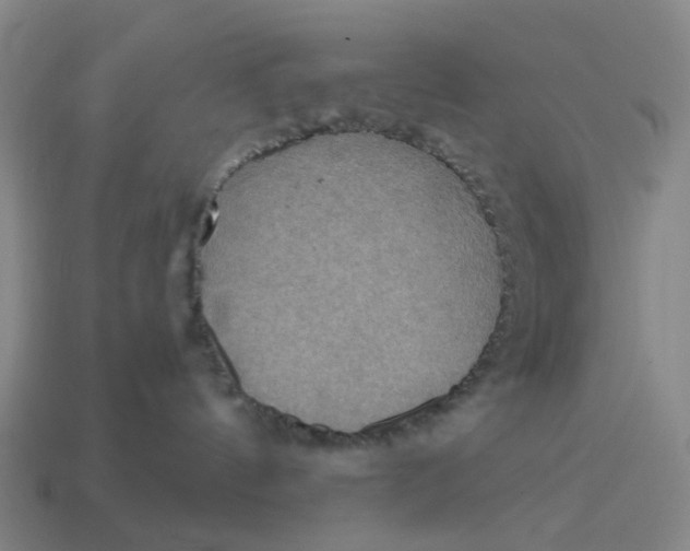 X0000114420144200911061630