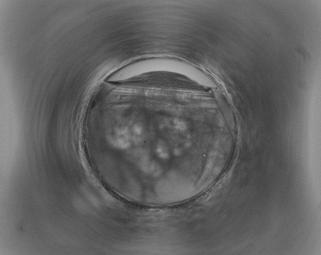 X0000114420145200911061629