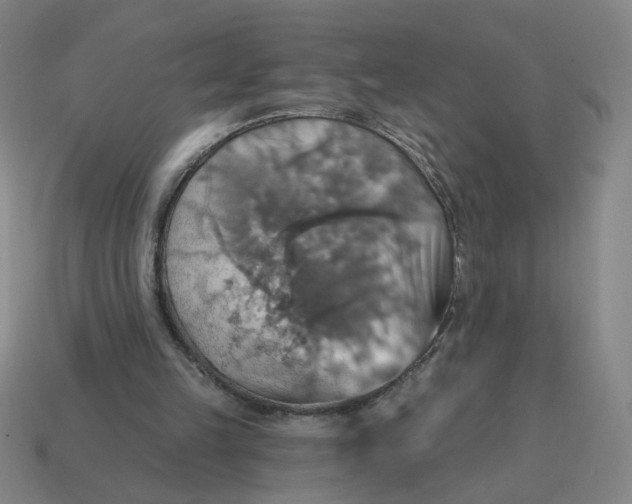 X0000114420149200911061629