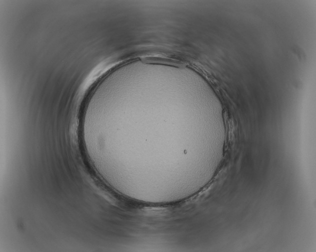 X0000114420150200911061629