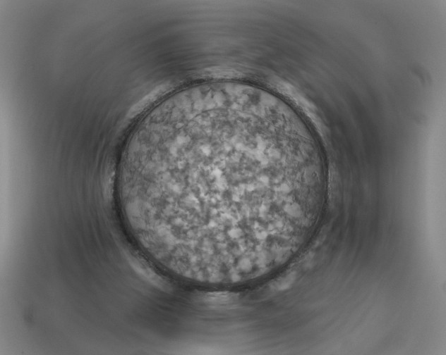 X0000114420153200911061629