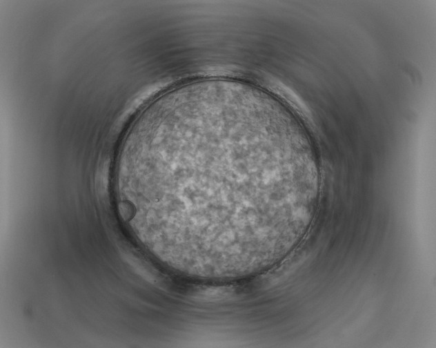 X0000114420155200911061629