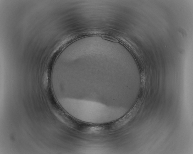 X0000114420158200911061629