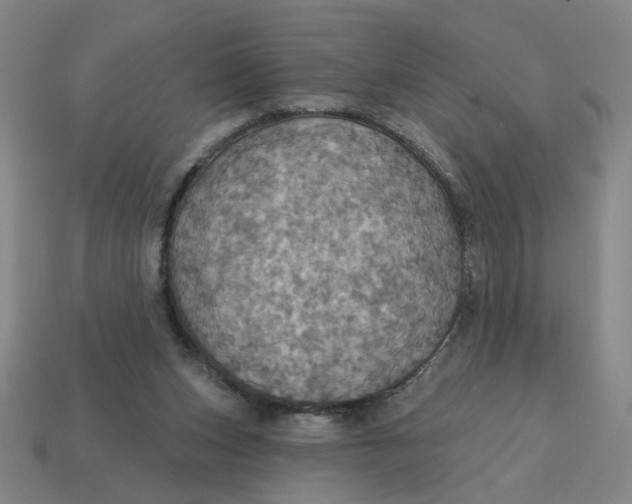X0000114420159200911061629