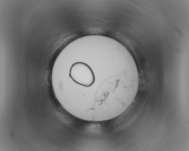 X0000114420162200911061629