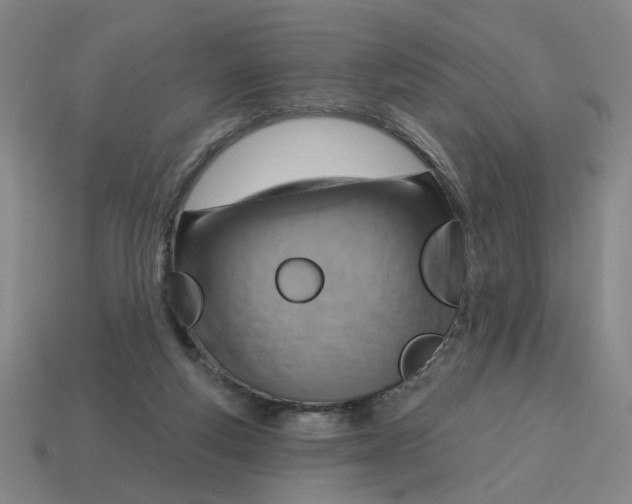X0000114420163200911061629