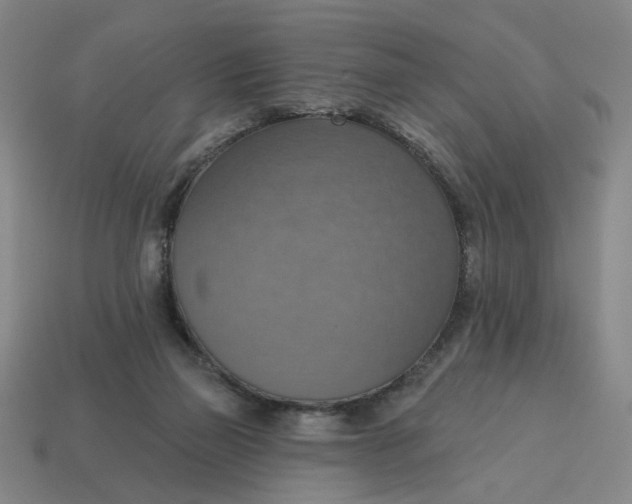 X0000114420165200911061629