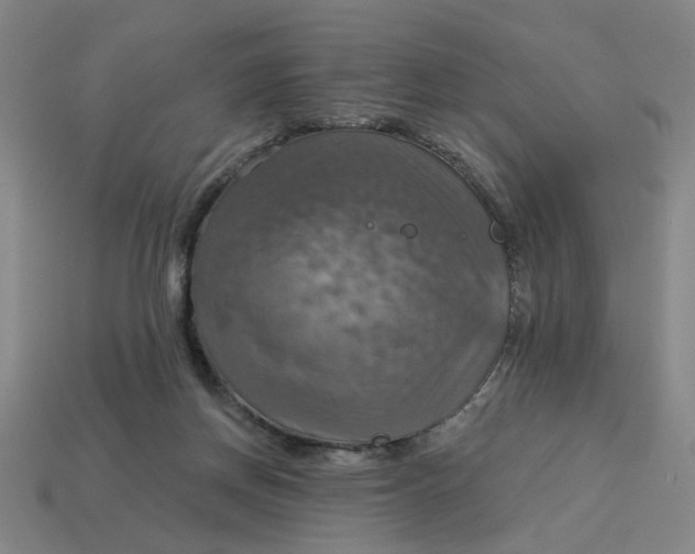X0000114420166200911061629