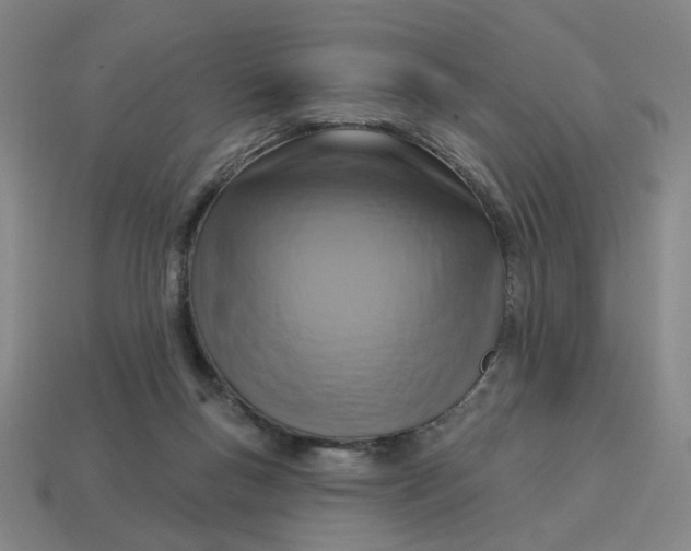 X0000114420167200911061629