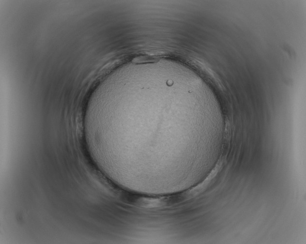 X0000114420170200911061629
