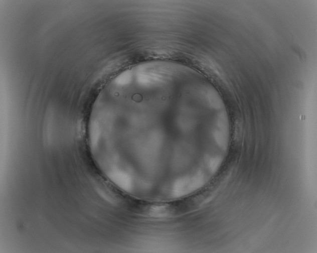 X0000114420173200911061629