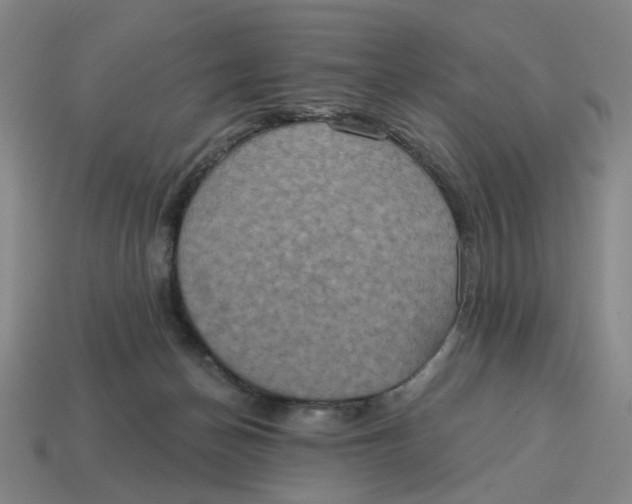 X0000114420174200911061629
