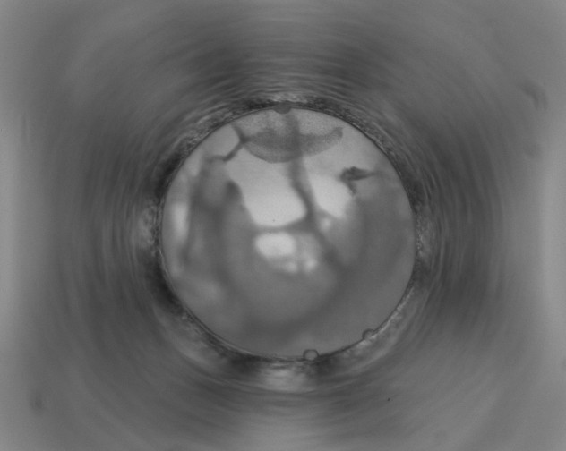 X0000114420175200911061629