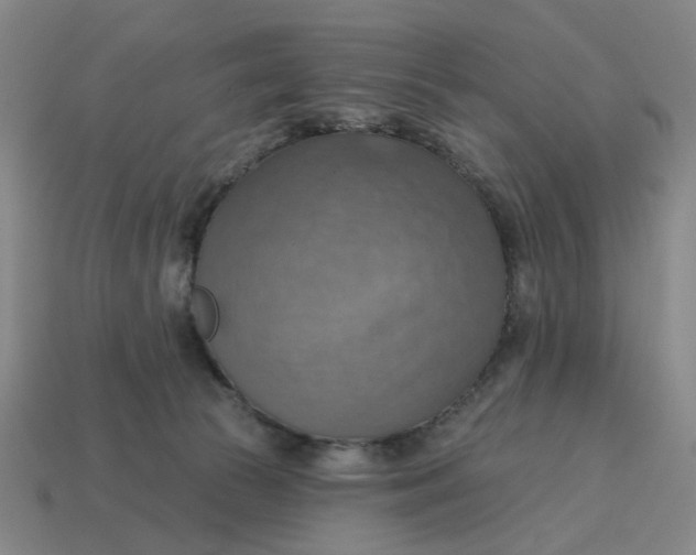 X0000114420177200911061629