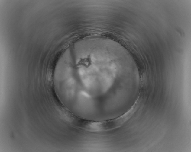 X0000114420178200911061629