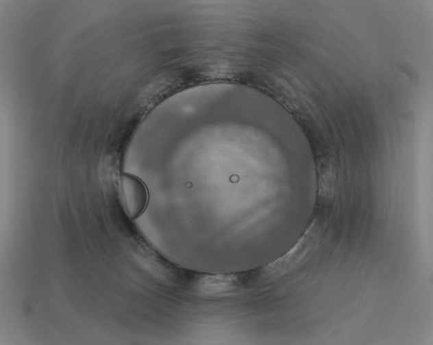 X0000114420179200911061630