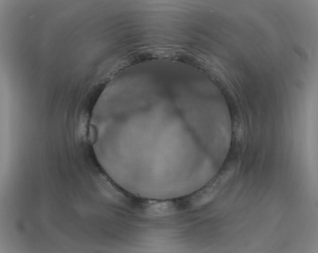 X0000114420185200911061630