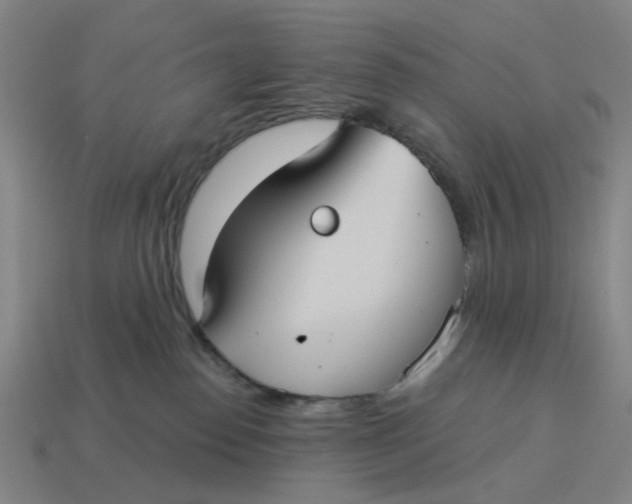 X0000114420186200911061630